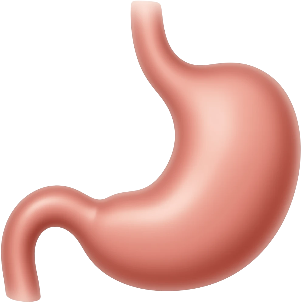 draw anatomically the esophagus emoji