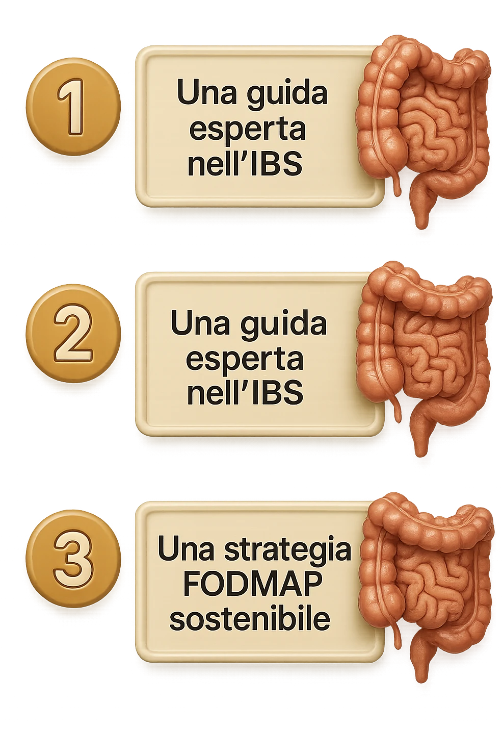 emoji stile iphone di 3 targhette numerate con intestino realistico davanti ad ogni targhetta, le targhette sono:
"1 – Un piano chiaro e strutturato
2 – Una guida esperta nell’IBS
3 – Una strategia FODMAP sostenibile"
, iperrealistico 4k emoji