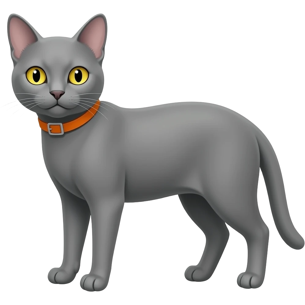 Gato con cabeza medio grande, delgado, de pelaje color plomo, con collar anaranjado, color de ojos amarillo emoji