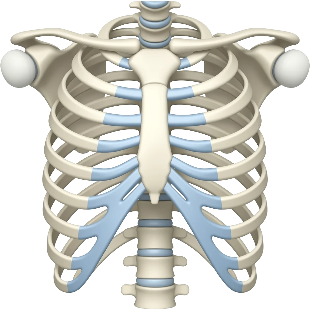 A whitish rib cage emoji