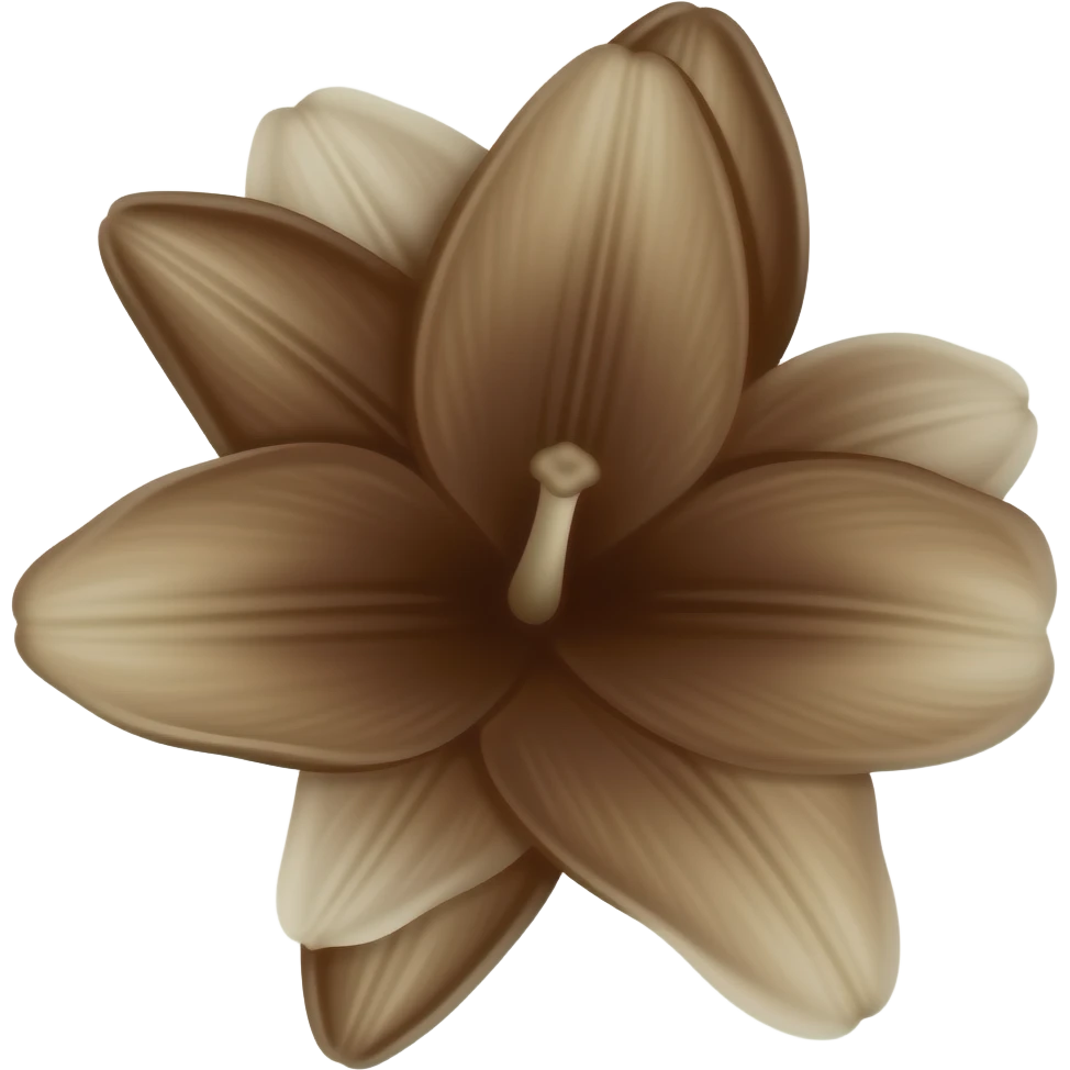 A dark brown flower with lily petals emoji