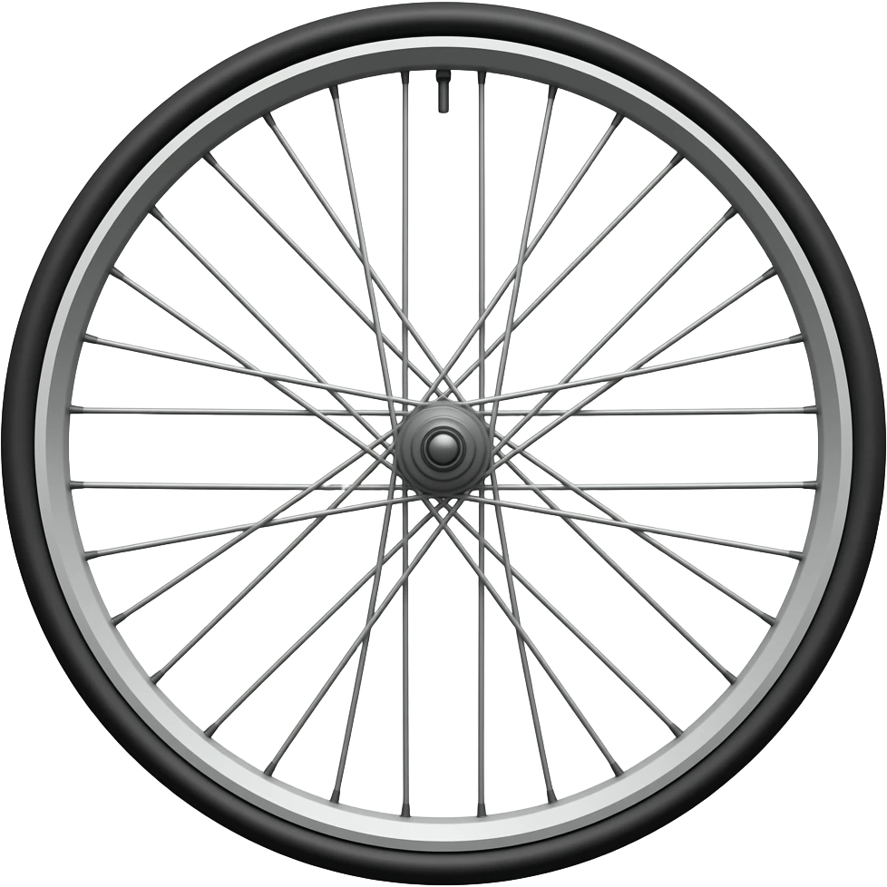 Realistic wheel with nobody inside emoji