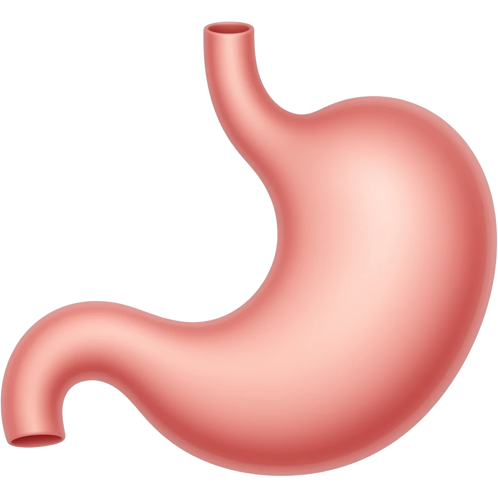 disegna stomaco e duodeno emoji