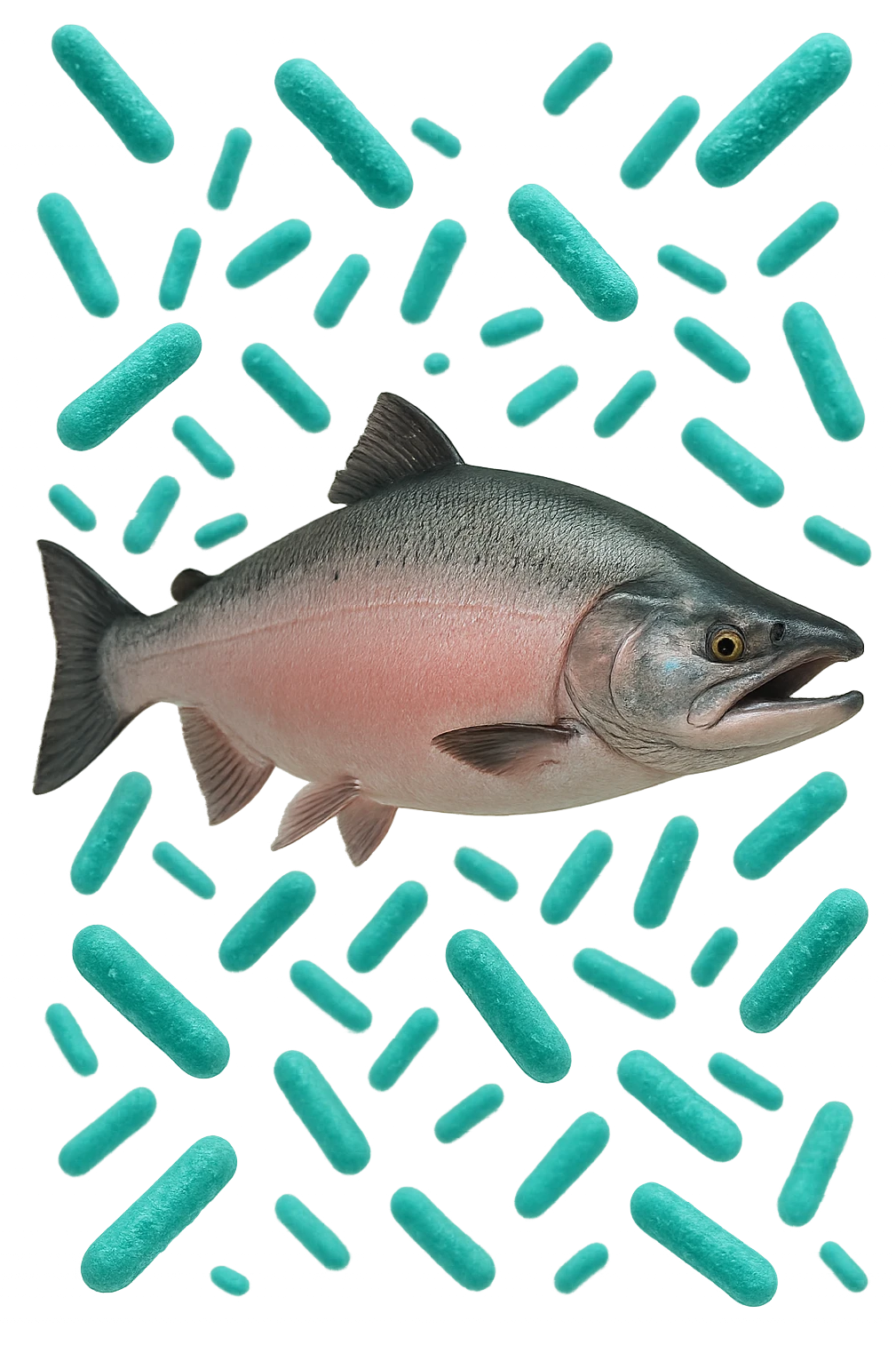 batteri intestinali rosa salmone e turchesi fluttuano in aria, iperrealistici 4k emoji