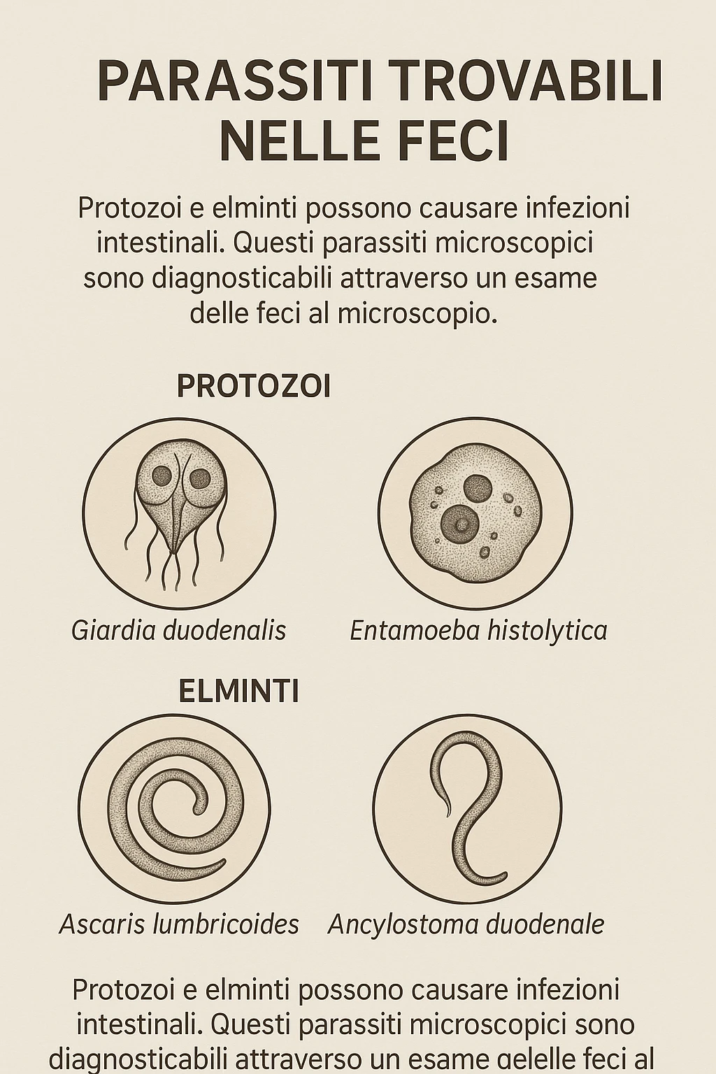 parassiti introvabili nelle feci in italiano emoji
