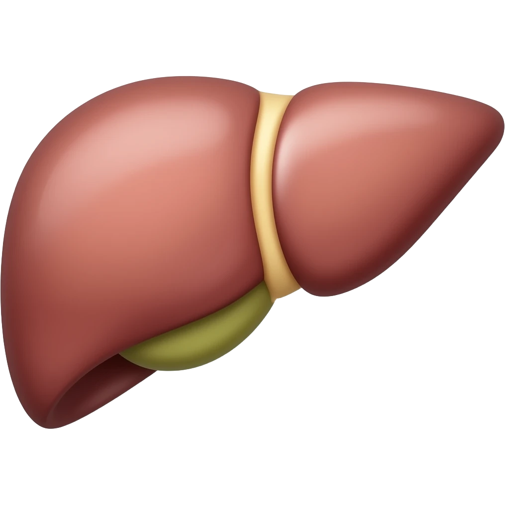 Liver emoji