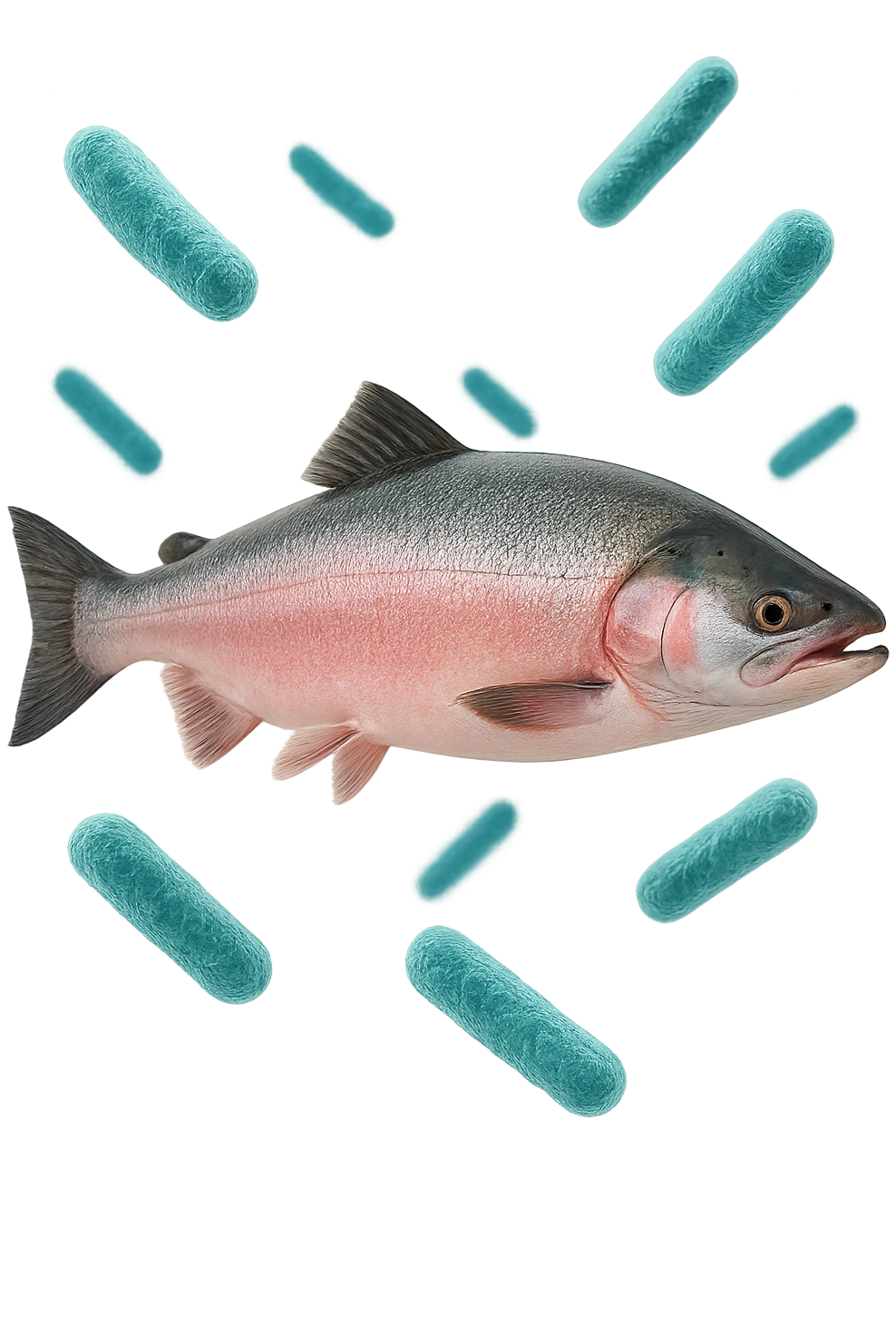batteri intestinali rosa salmone e turchesi fluttuano in aria, iperrealistici 4k emoji