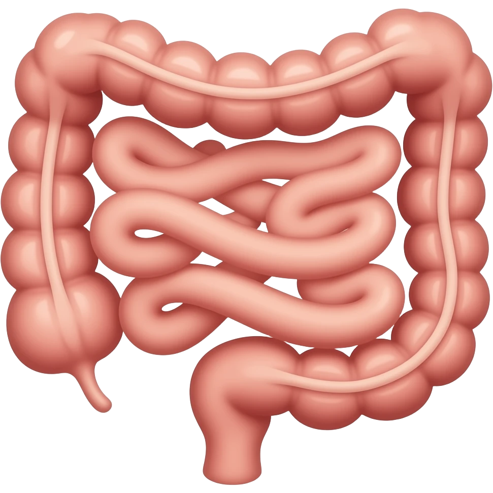 intestino tenue emoji