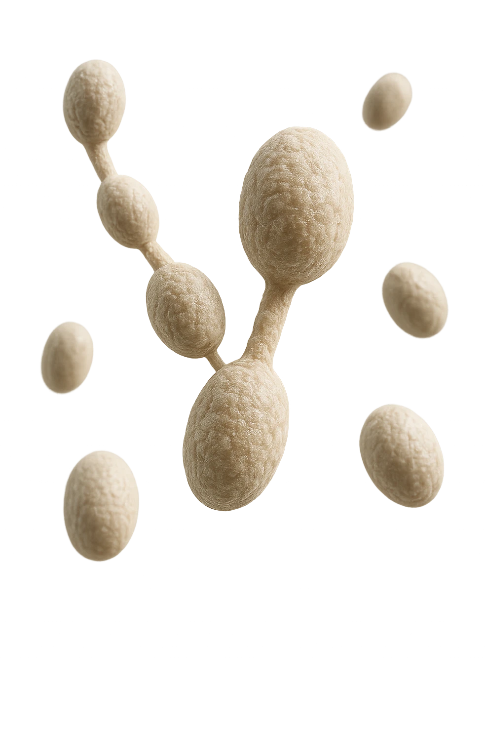 batteri della candida fluttuano in aria, IPERREALISTICO 4K emoji