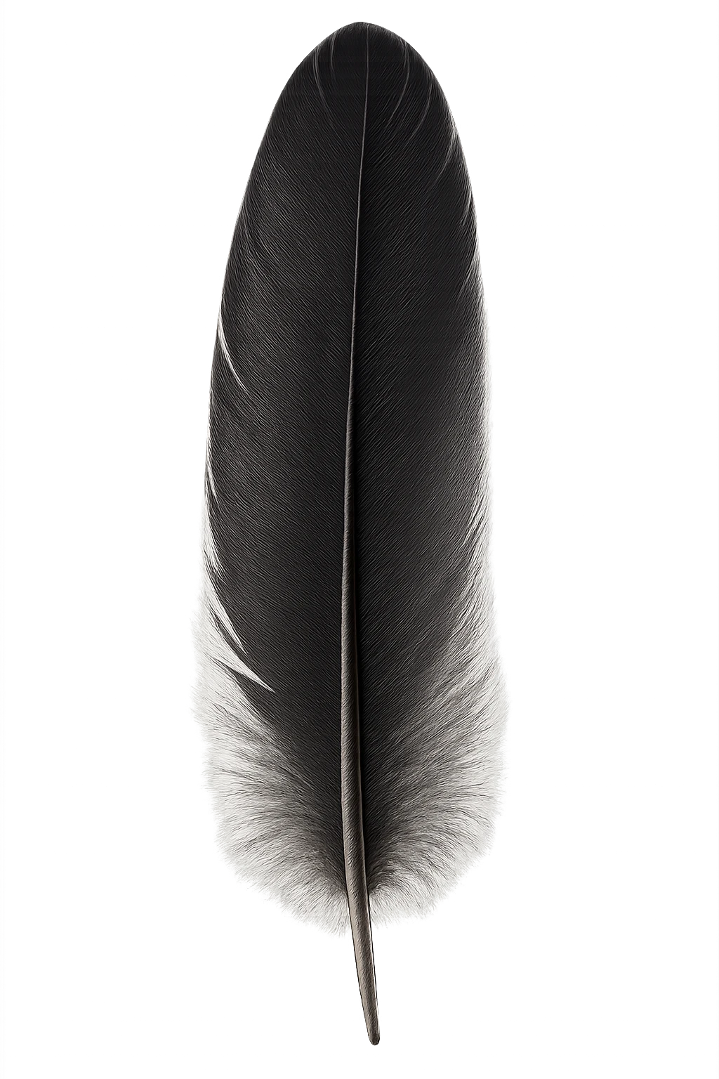 black feather emoji