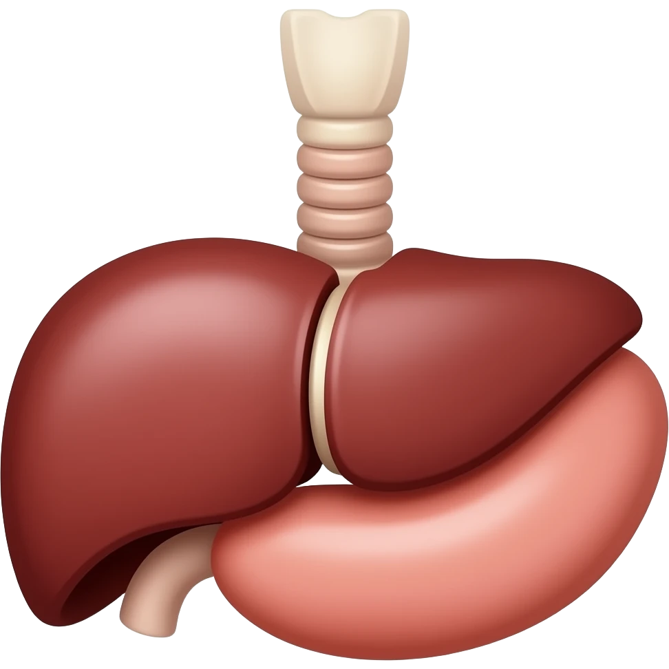 Fondo de órganos humanos emoji