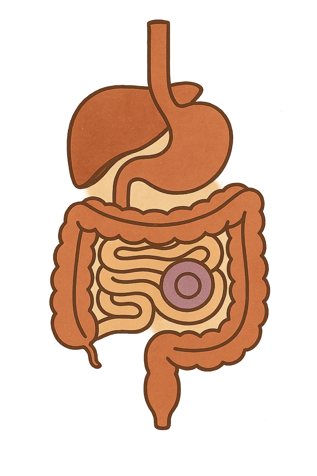 Anatomical illustration of the human digestive system, showing a cell, small intestine, and large intestine. Smooth 3D style, soft shading, clean and simple design.
 emoji