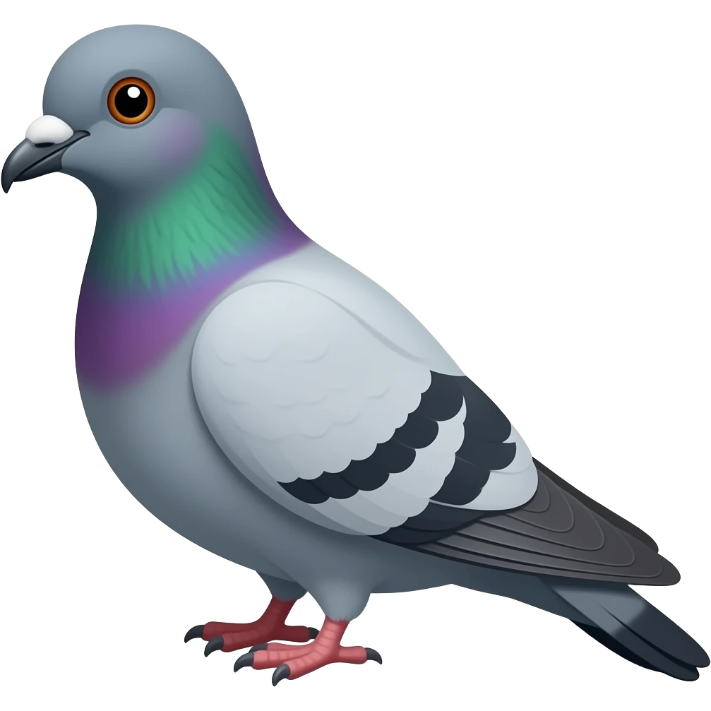 A pigeon with gray feathers and two dark gray stripes on eatch of his wings, a dark gray beak with a yellow stripe at the base, and a purple and green chest. emoji