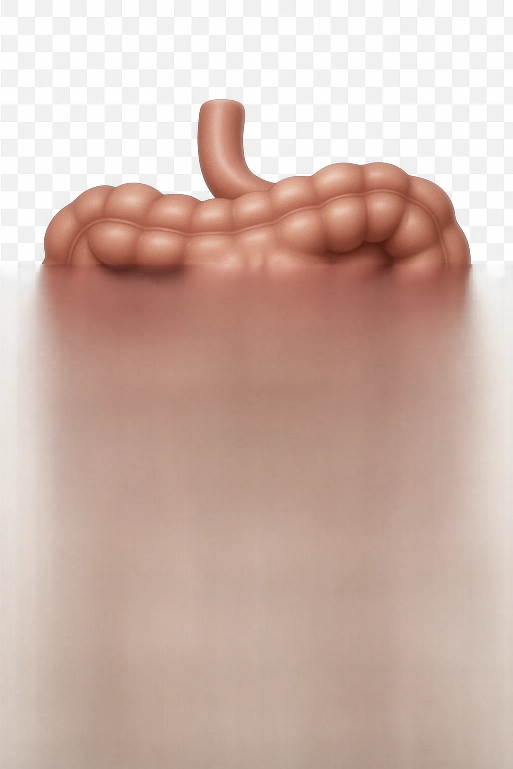 emoji stile iphone di un intestino con mal di pancia, espressione preoccupata, iperrealistica  emoji