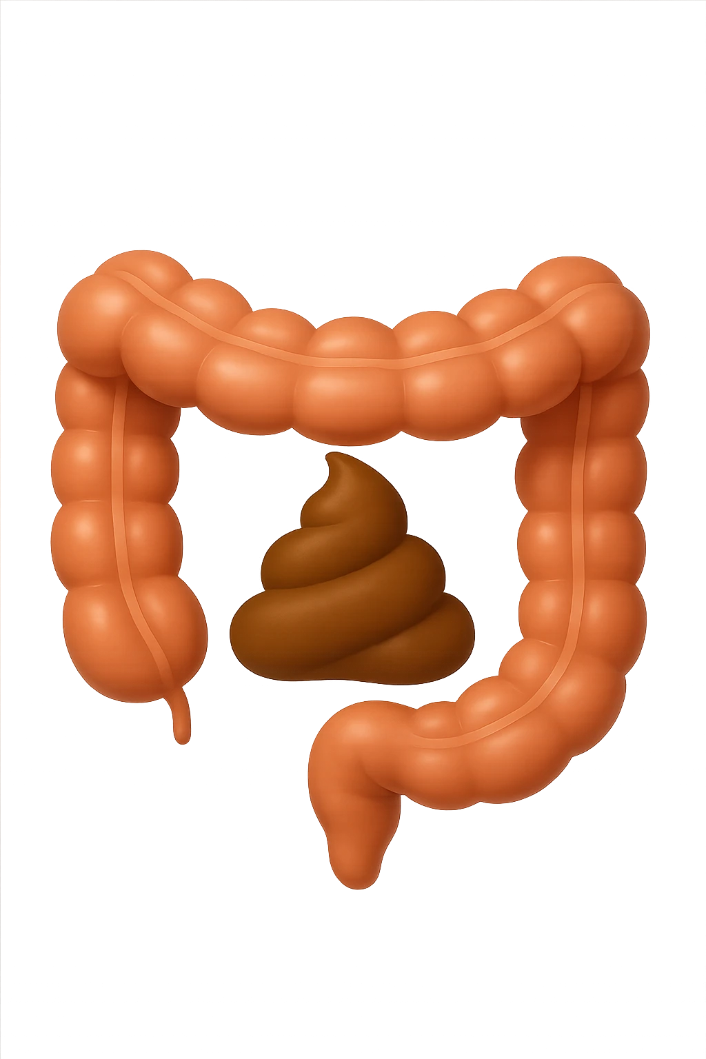 EMOJI STILE IPHONE DI UN TRATTO DI COLON INTESTINALE CHE FLUTTUA IN ARIA CON ALL'INTERNO DELLE FECI, IPERREALISTICO 4K emoji