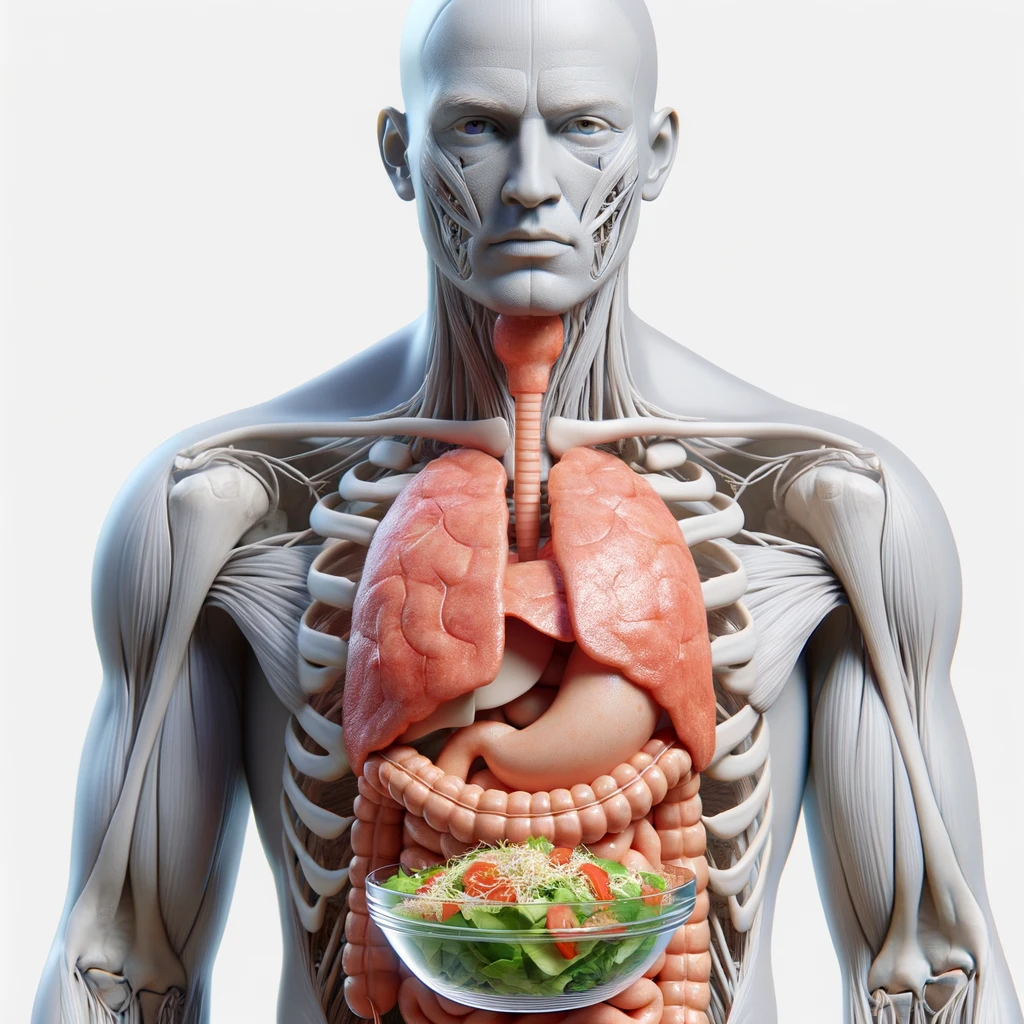 corpo umano anatomico con intestino in evidenza mentre mangia un'insalata con espressione neutra in volto, iperrealistico 4k, isolato su sfondo bianco emoji