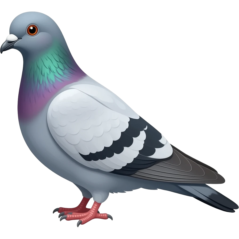 Pigeon emoji