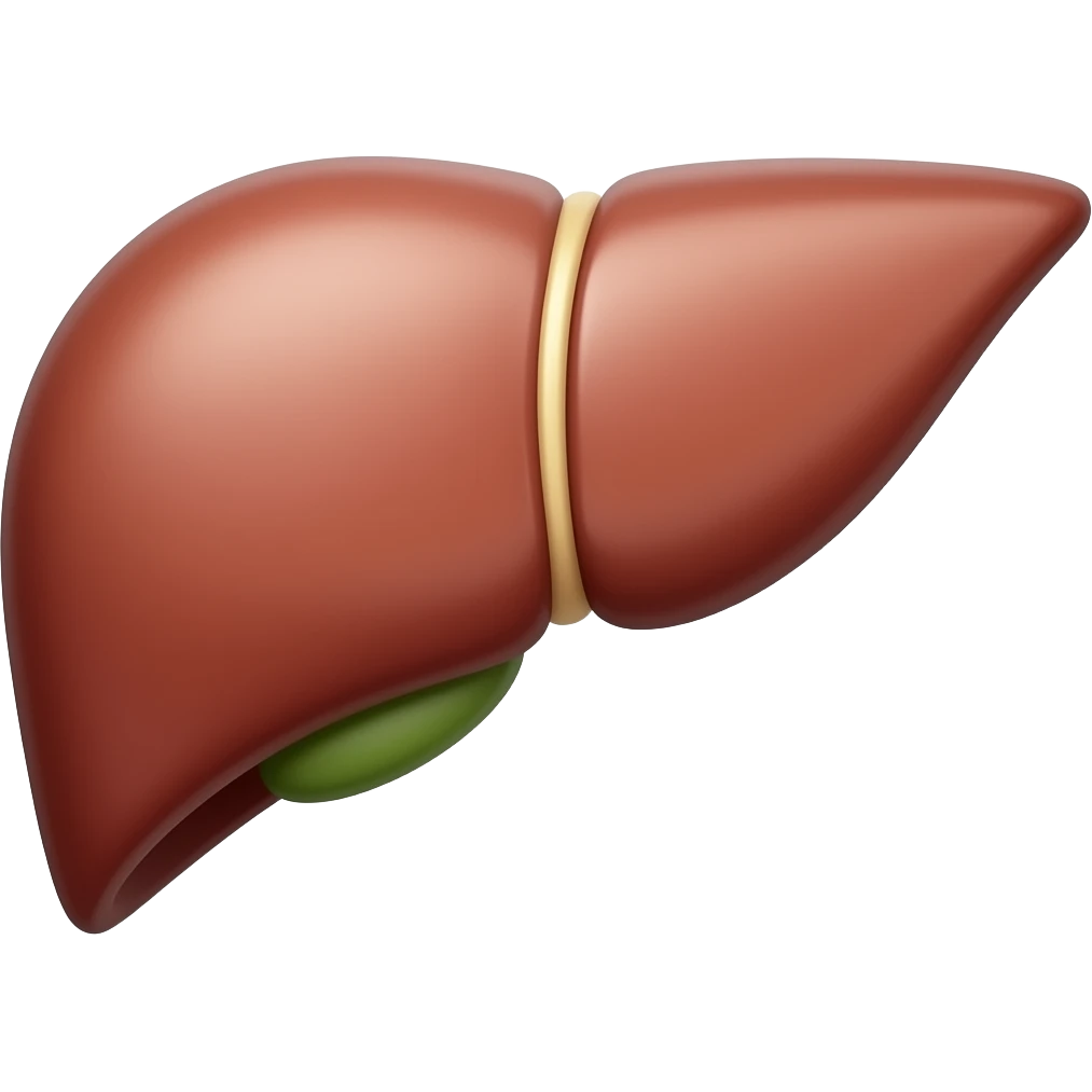 Liver emoji