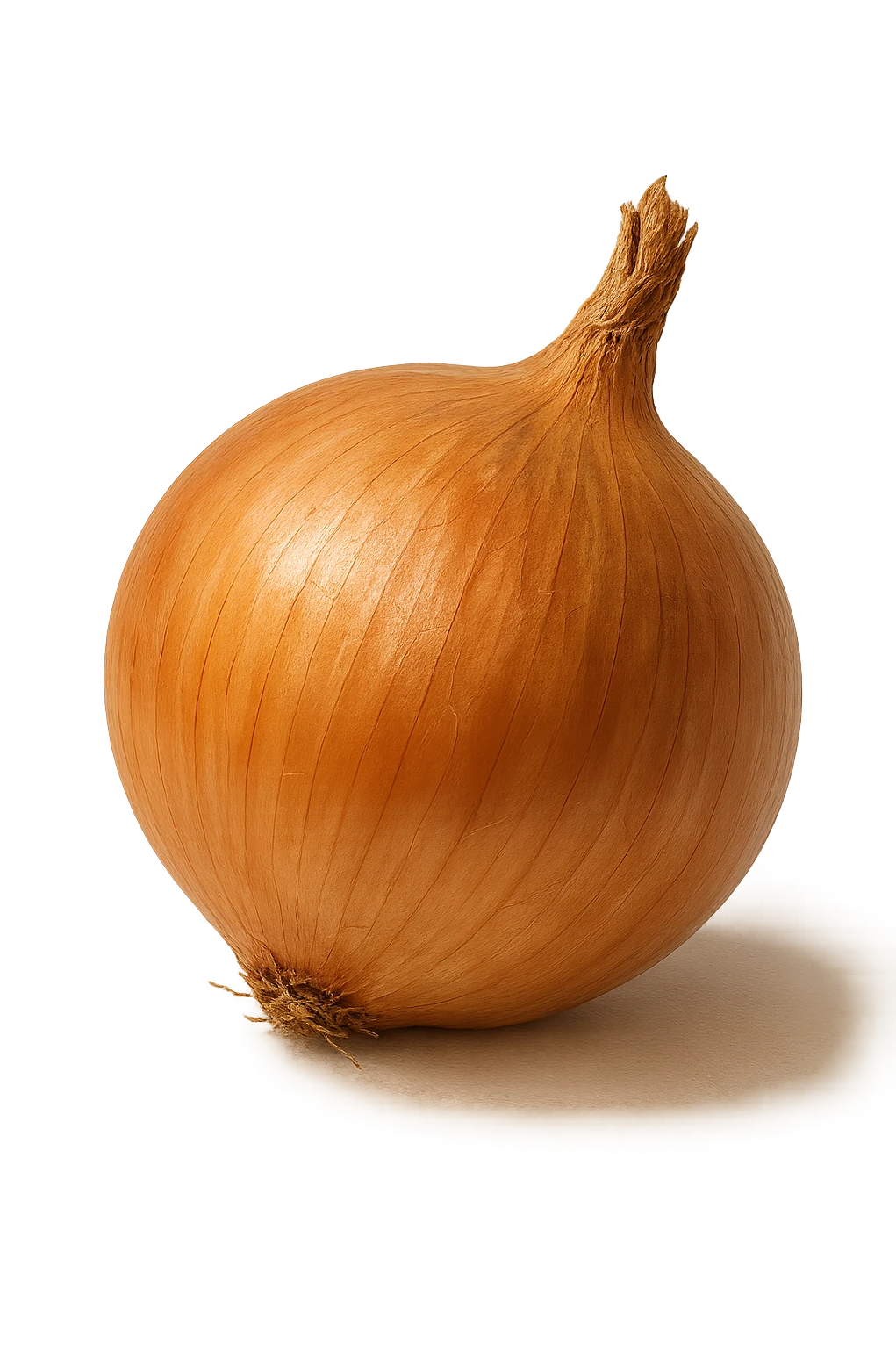 cipolla realistica, iperrealistico 4k emoji