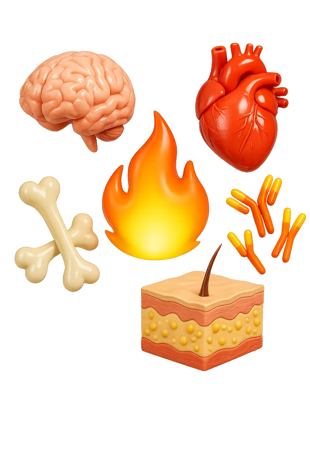EMOJI STILE IPHONE 3D DI cervello, ossa, cuore, porzione di epidermide e cellule di anticorpi che girano in tondo, al centro di questi elementi c'è una fiamma 3d  FALLO MOLTO REALISTICO IN 3D emoji