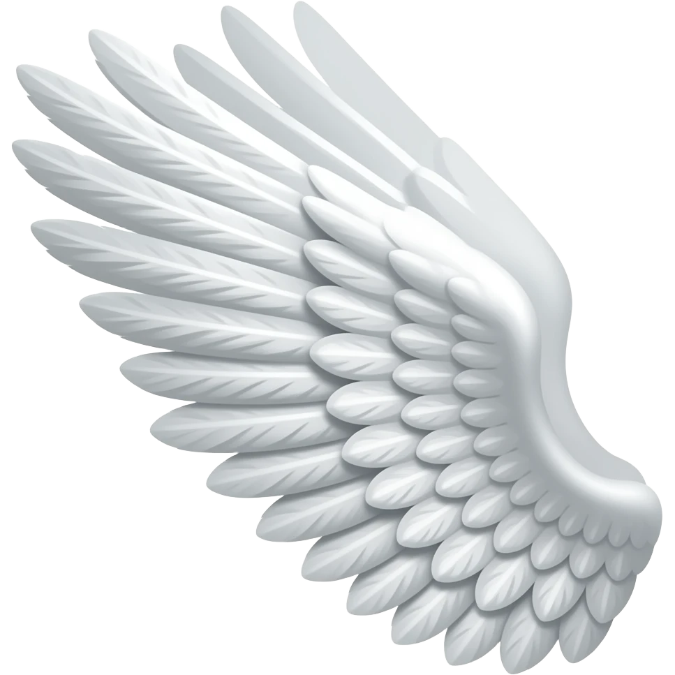 Aile droite d’un ange de l’autre coter emoji