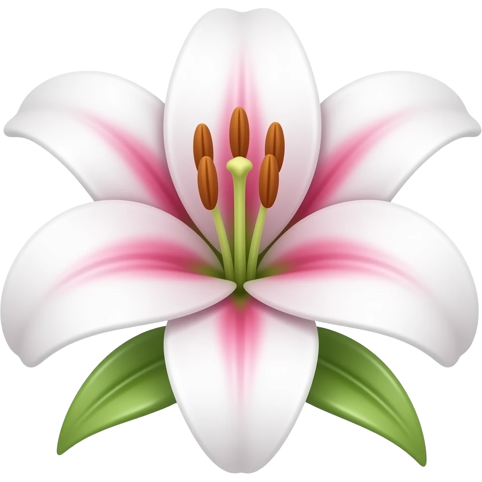 Cute white and pink lily flower with no stem and leaves emoji