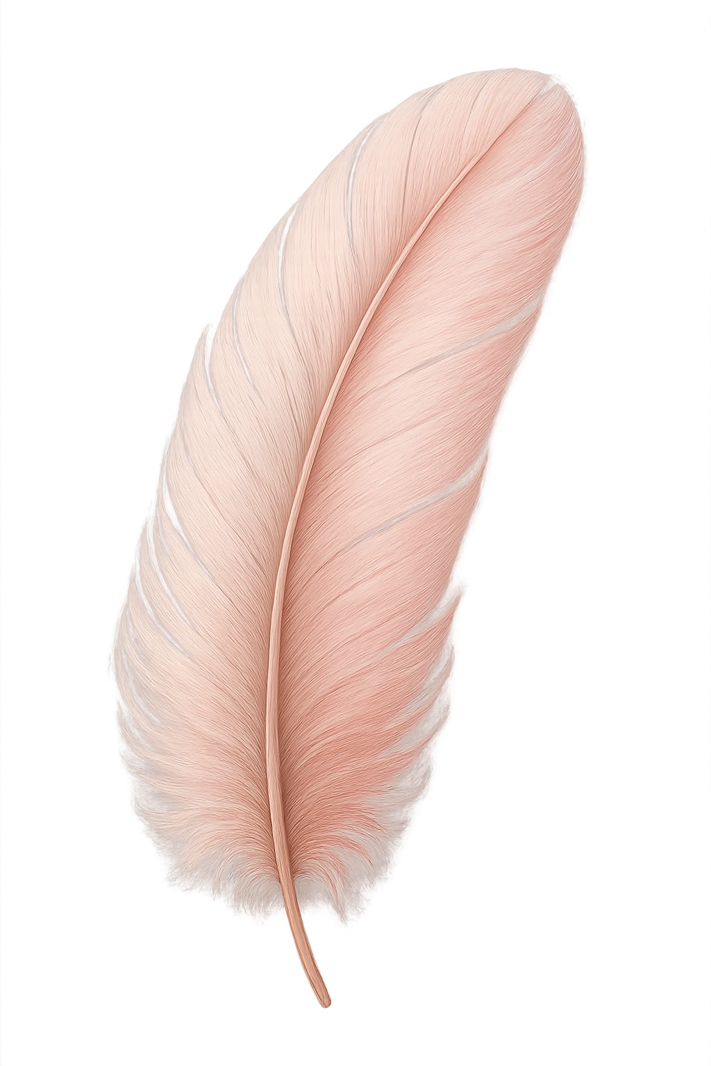 pink feather, digital illustration emoji