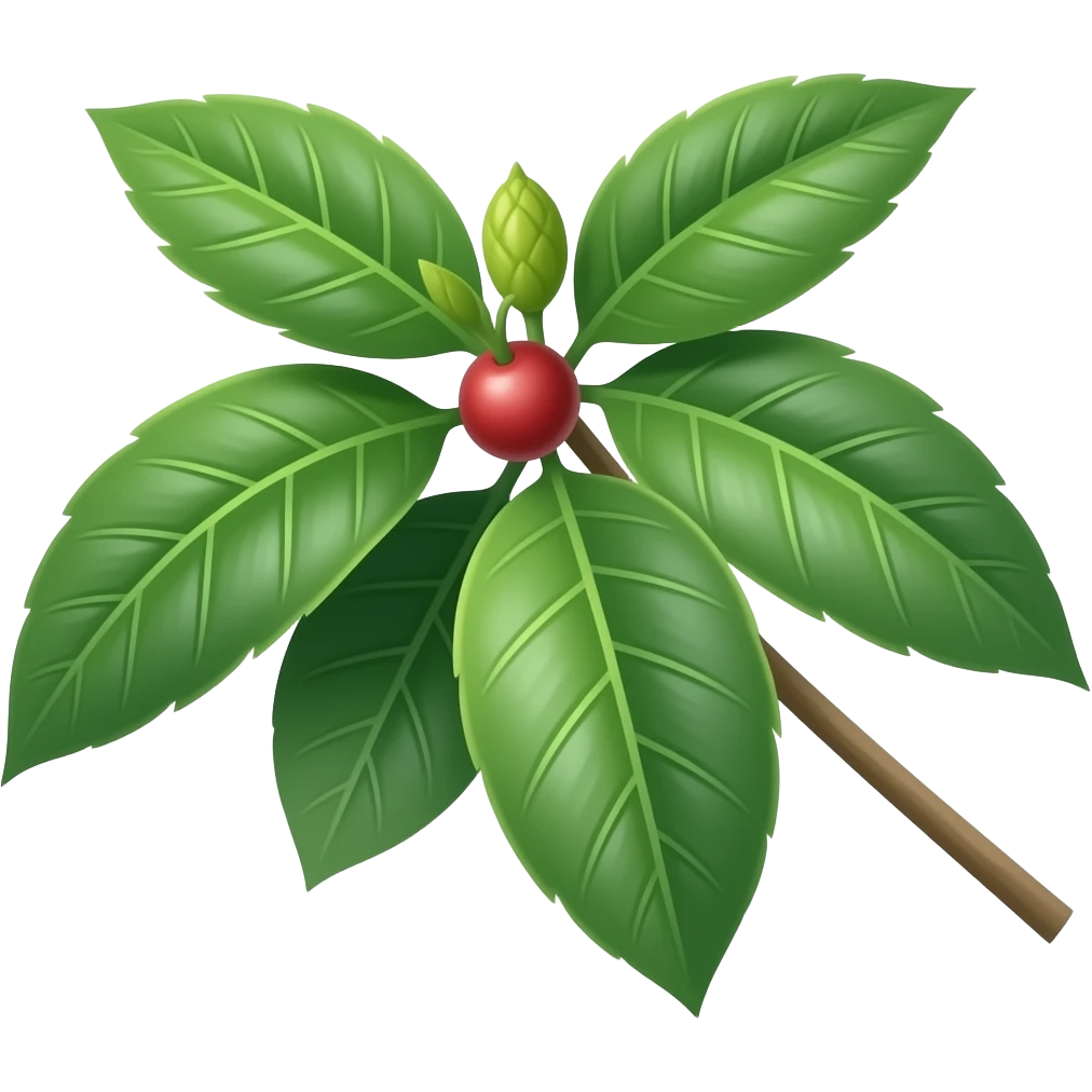 make me a ka va ka va emoji 
Kava (Piper methysticum) emoji