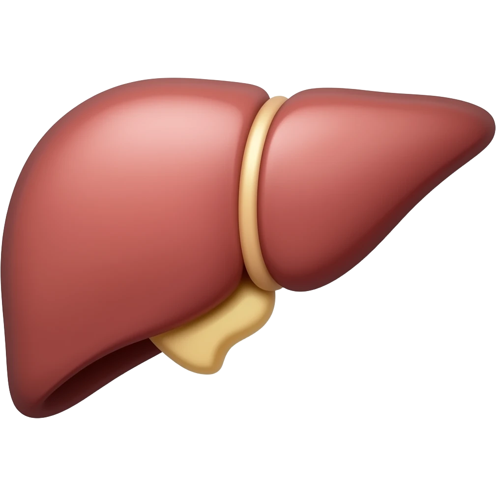 Liver emoji
