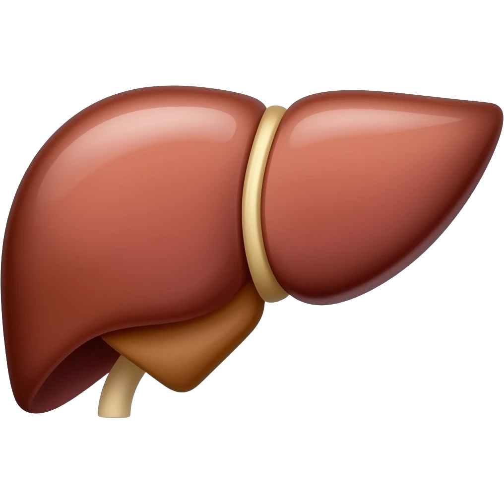 Liver emoji