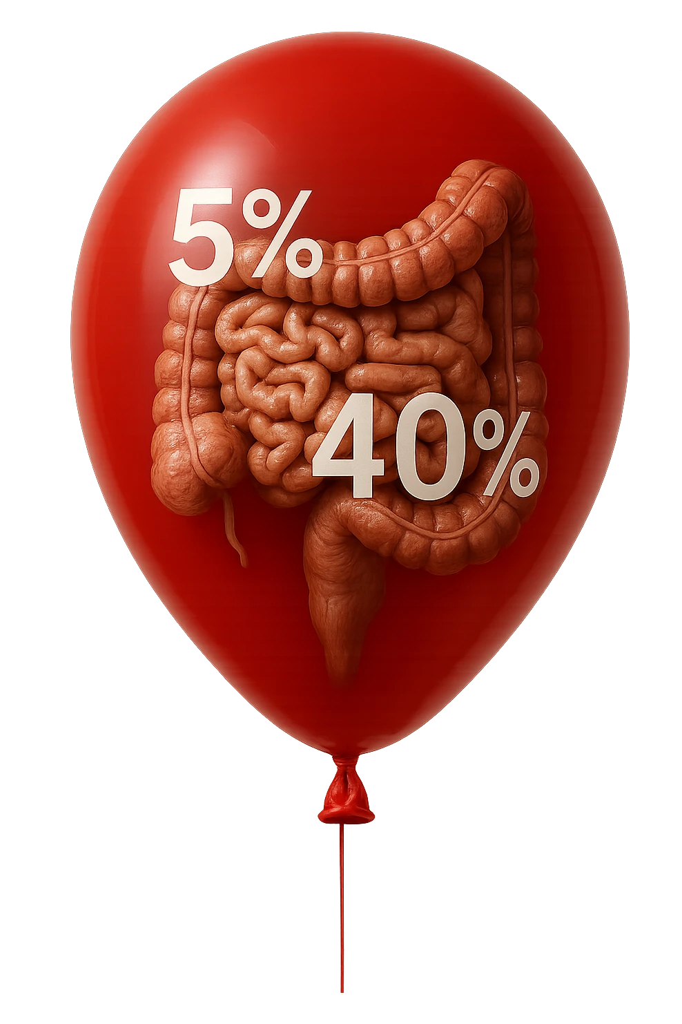 intestino umano anatomico chiuso in un palloncino rosso con la scritta 5% e 40% dentro insieme all'intestino, iperrealistico 4k emoji