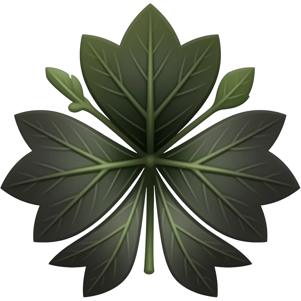 A Black. 4-leaf clover with 5 leaves and no stem emoji