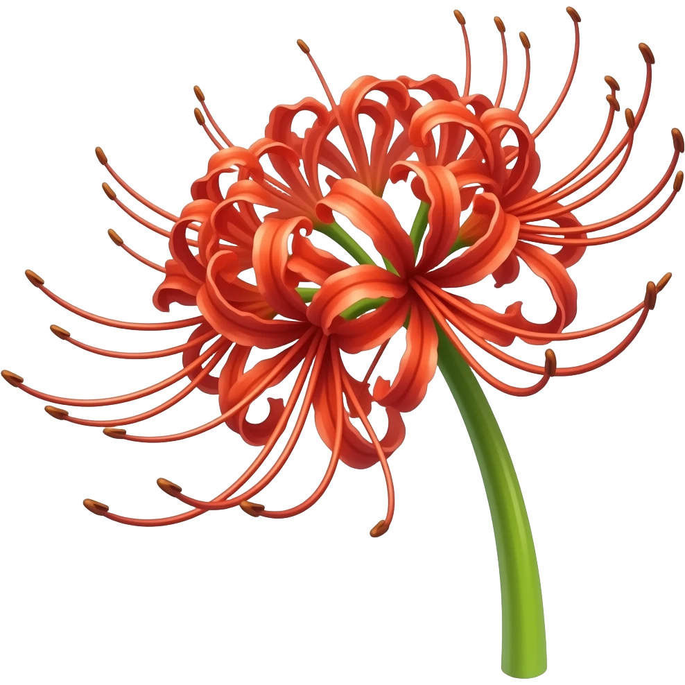 phrolovas conductor weapon which is the red spider lily from wuthering waves emoji