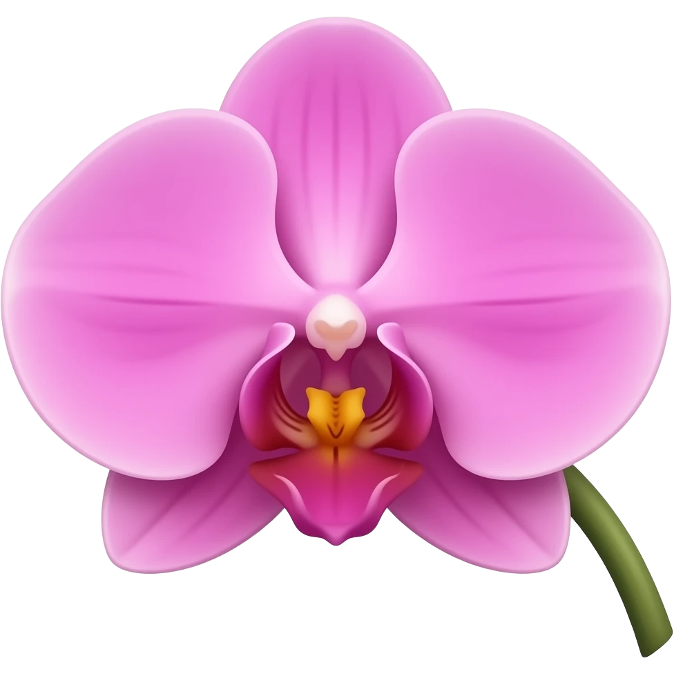 Une fleur d'orchidée rose avec un bout de sa tige emoji