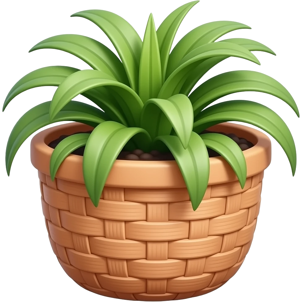 Create an elegant and decorative circular ceramic planter, similar to a basket. The planter has a wide mouth and a low height. It is glazed in a sapote color and contains a ribbon plant. The background is white. Illustration style: cartoon – Art Deco – 2D emoji