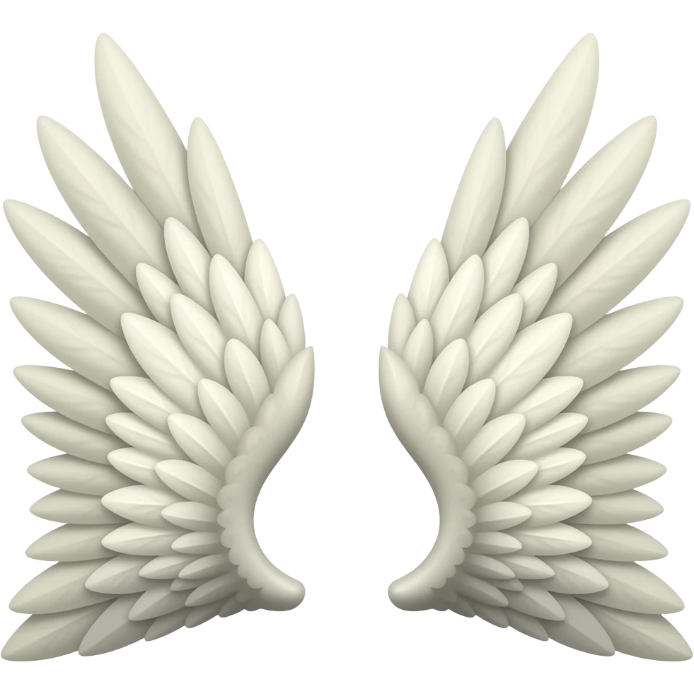 Two wings left and right emoji