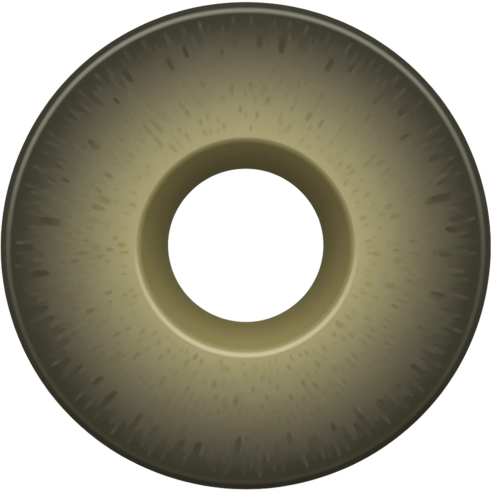 one black olive cut for pizza topping emoji
