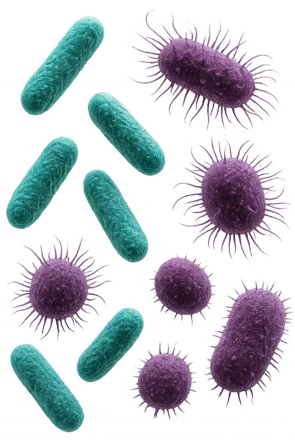 5 BATTERI BUONI E 5 BATTERI CATTIVI FLUTTUANO IN ARIA, I BATTERI BUONI FALLI TURCHESI, I BATTERI CATTIVI FALLI VIOLA, IPERREALISTICO 4K, NON DISEGNATO emoji