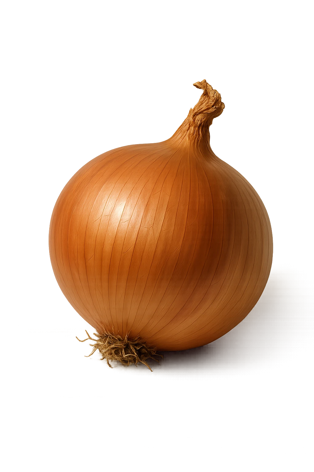 cipolla realistica, iperrealistico 4k emoji