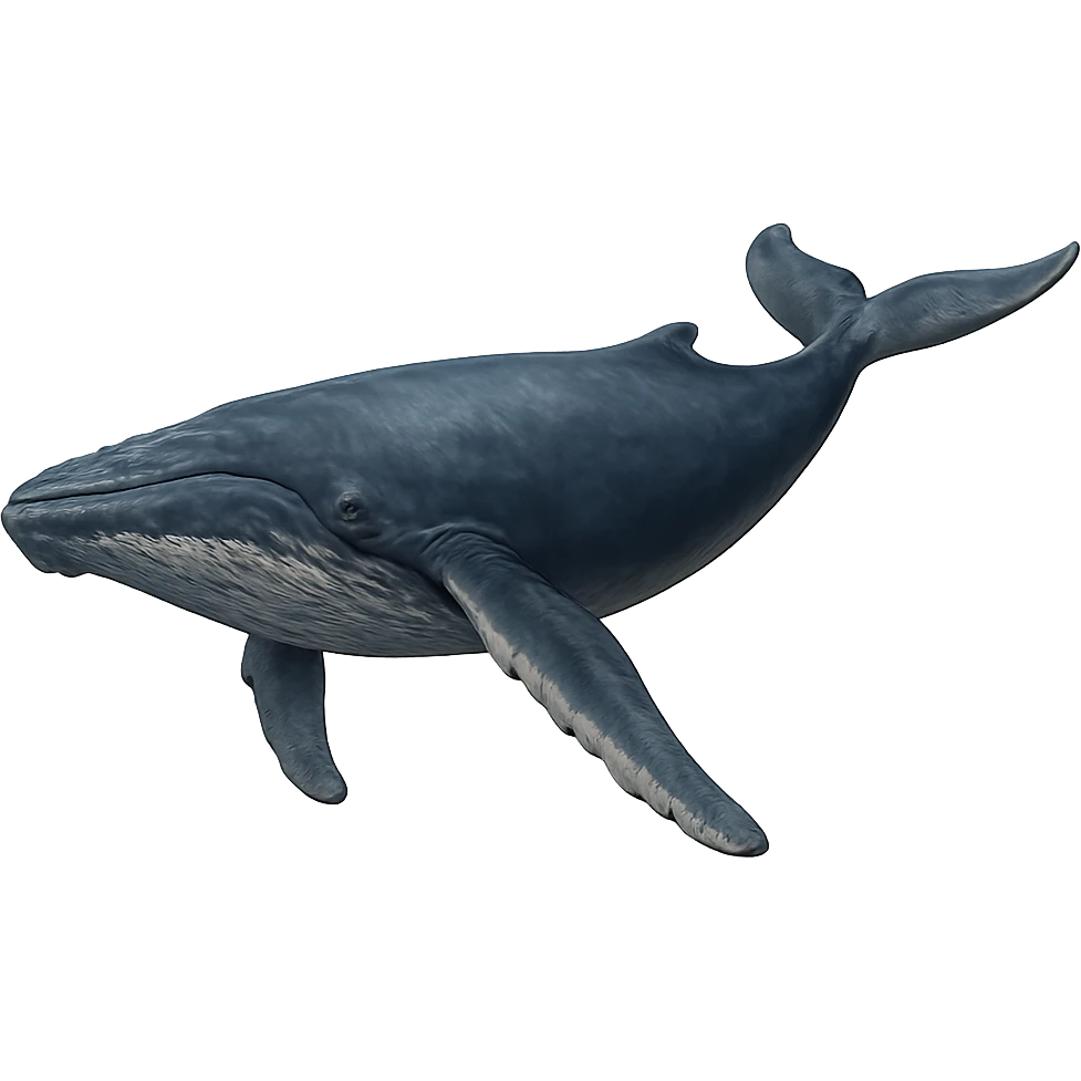 Whale emoji