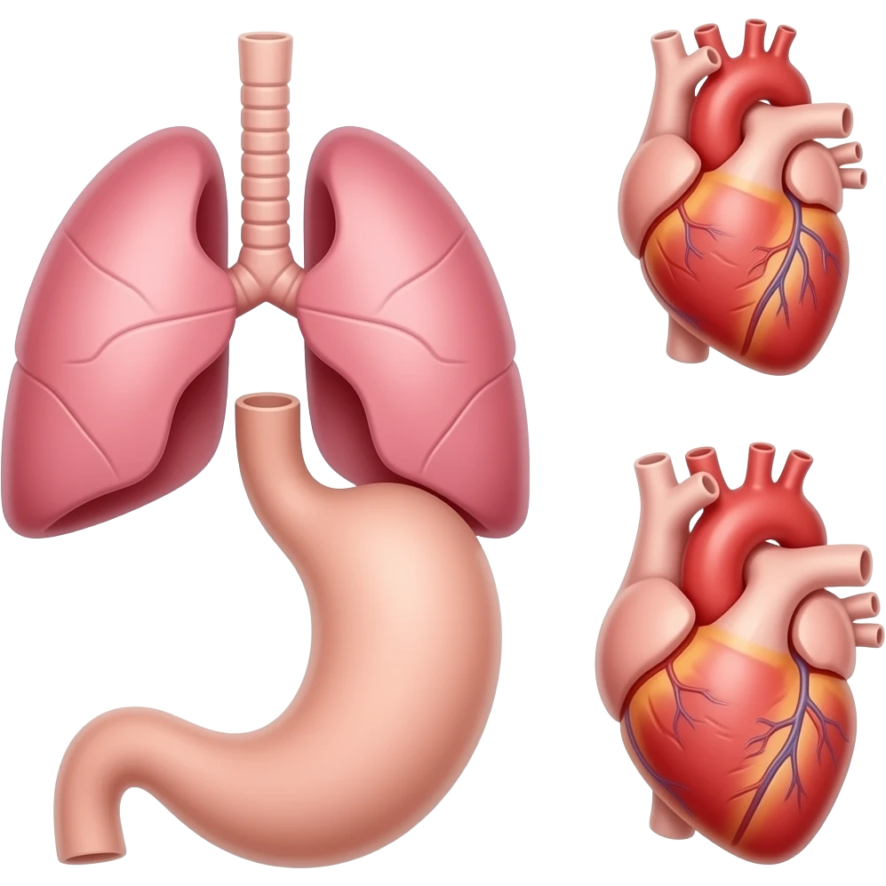 Stomack, lungs and heart emoji