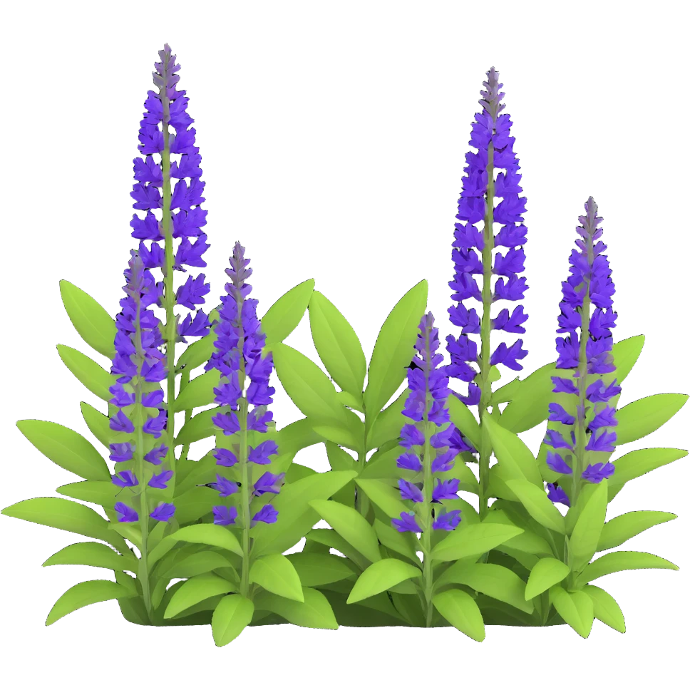 3D iOS style illustration of Salvia nemorosa, dense bush with upright purple flower spikes and green leaves, realistic and vibrant emoji