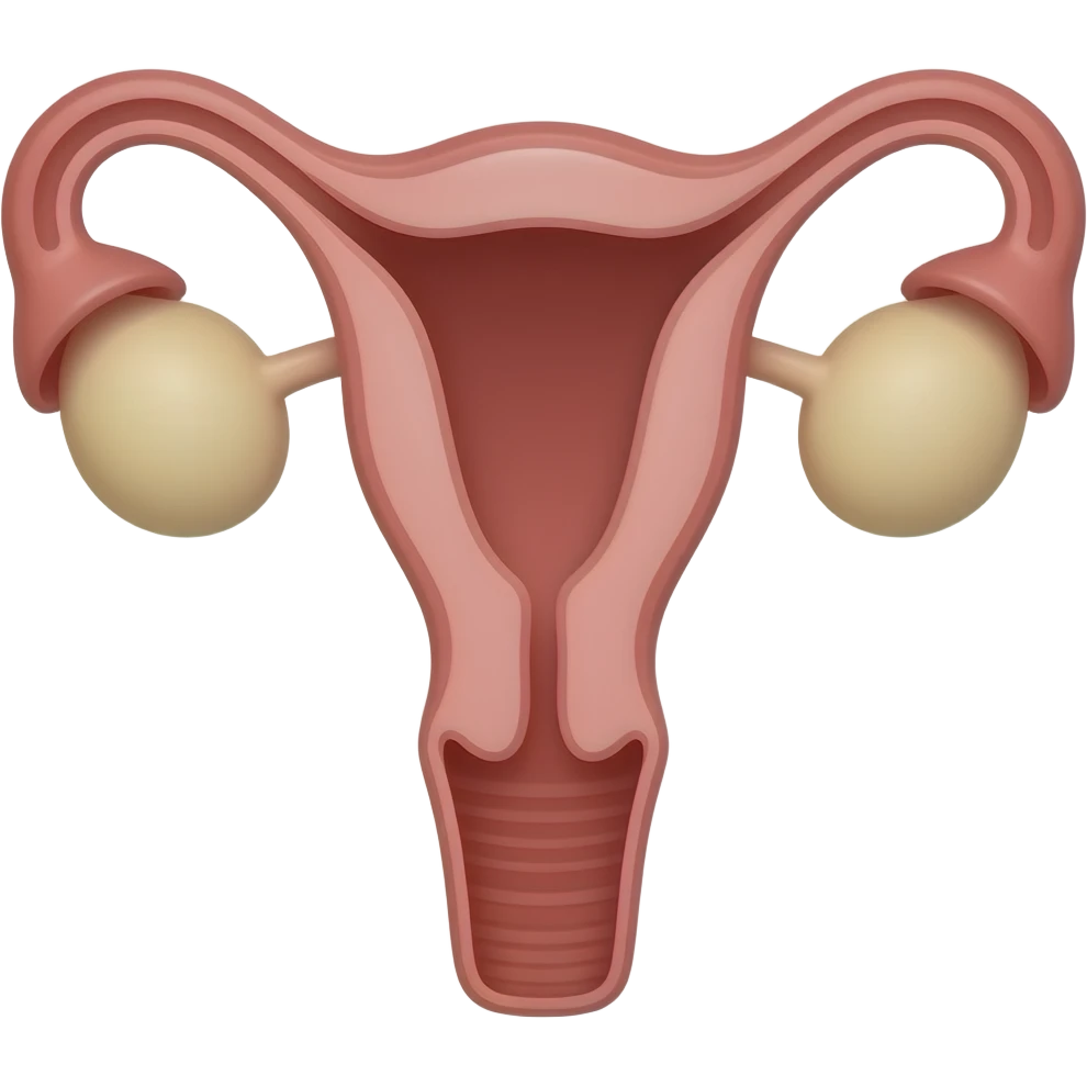 uterus emoji