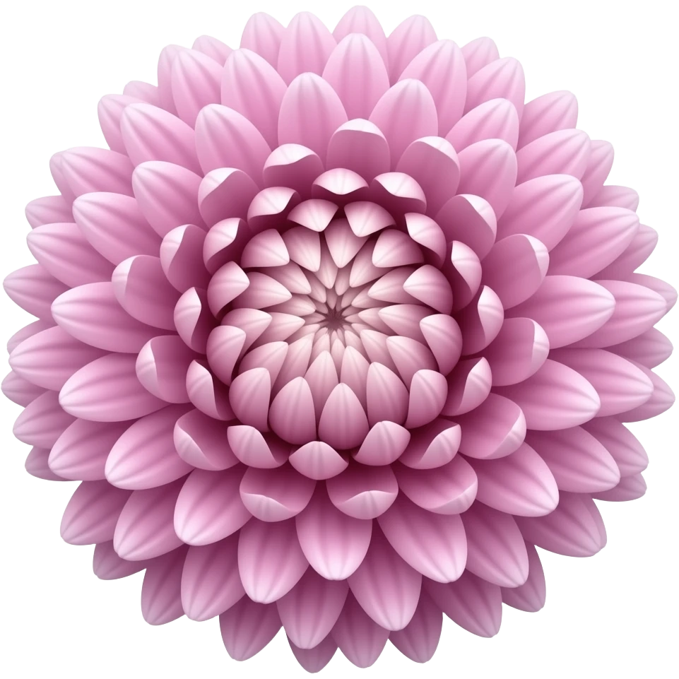 Mauve japanese spider chrysanthemum emoji