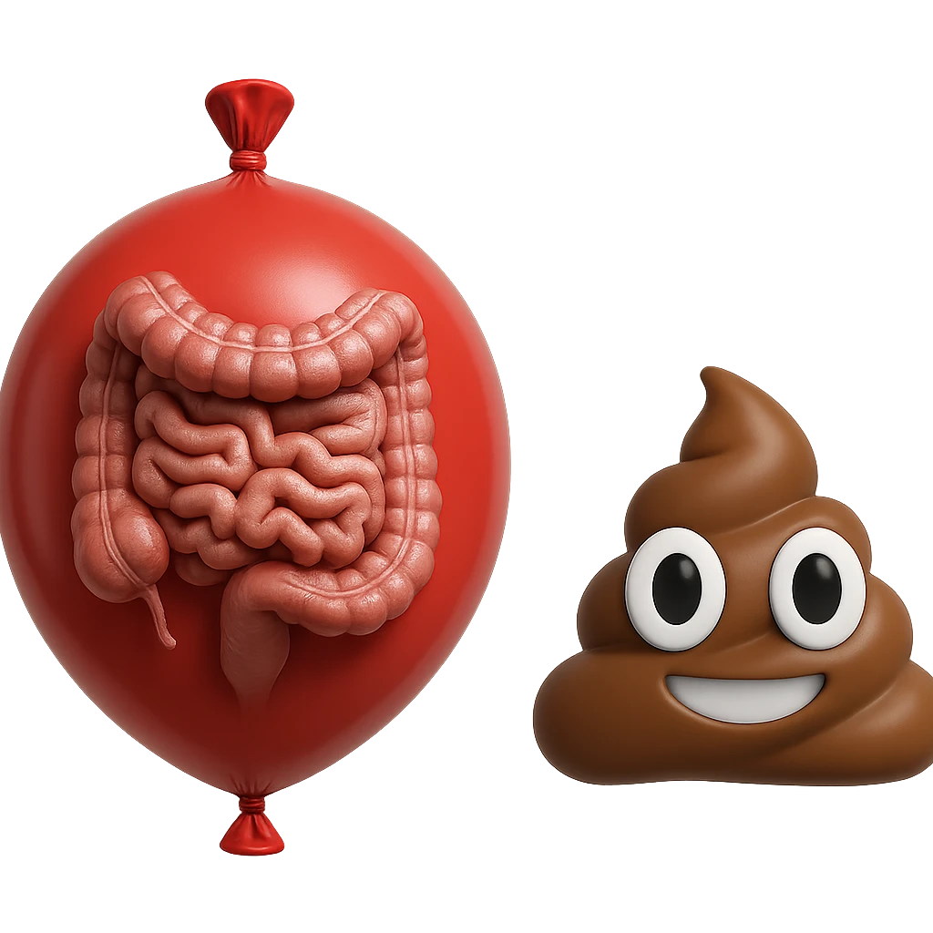 intestino umano anatomico chiuso in un palloncino rosso che simboleggia gonfiore, accanto un simbolo di cacca stile emoji iphoneche simboleggia "diarrea", iperrealistico 4k emoji