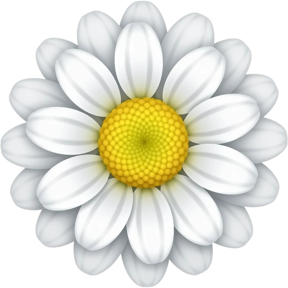 White crysenthemum flower emoji