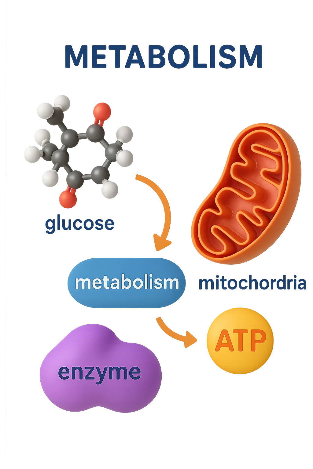 metabolismo 3d emoji