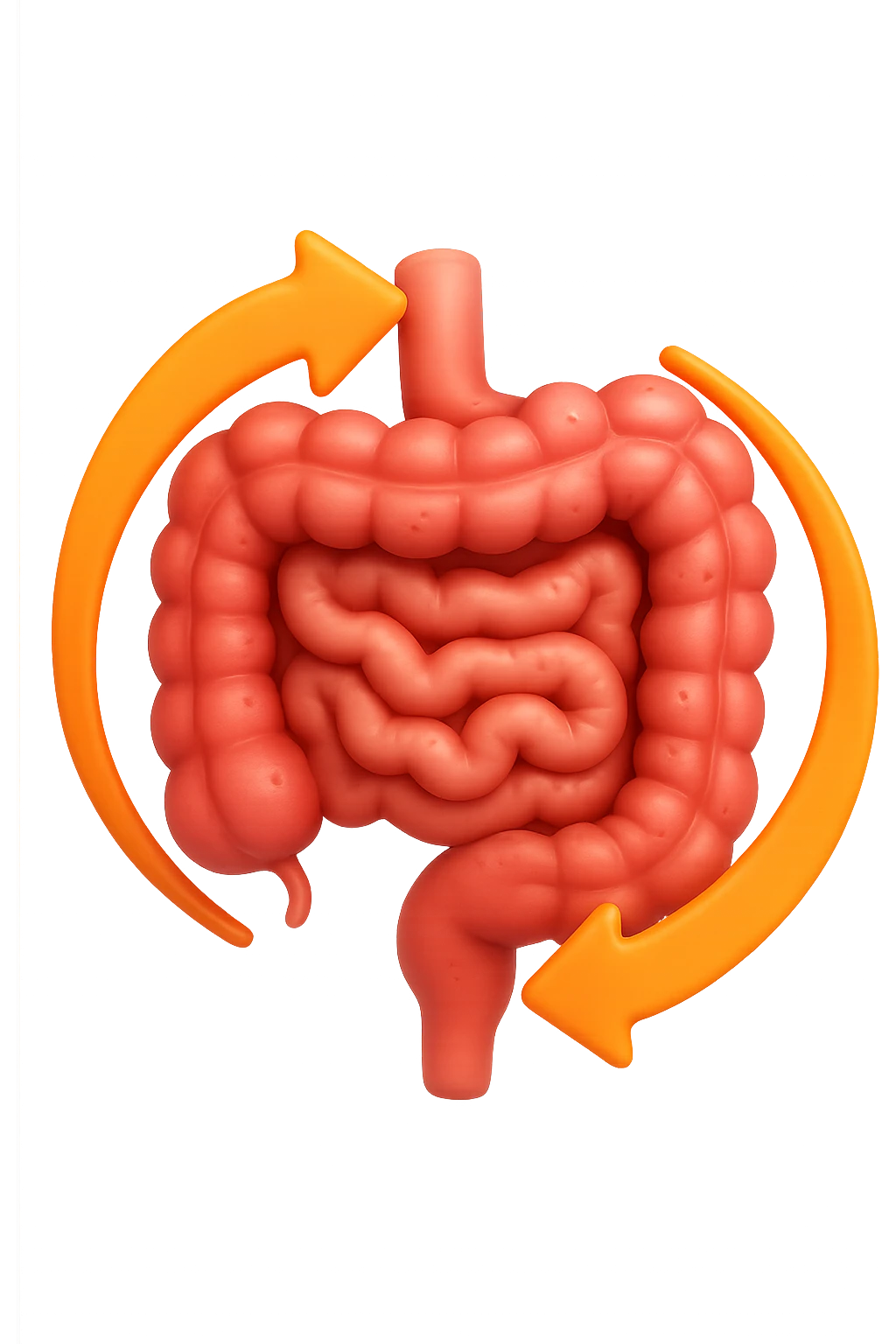 emoji 3d stile iphone di un intestino che si rigenera 3d emoji
