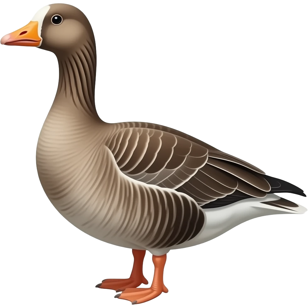 Greater White-Fronted Goose Migration emoji