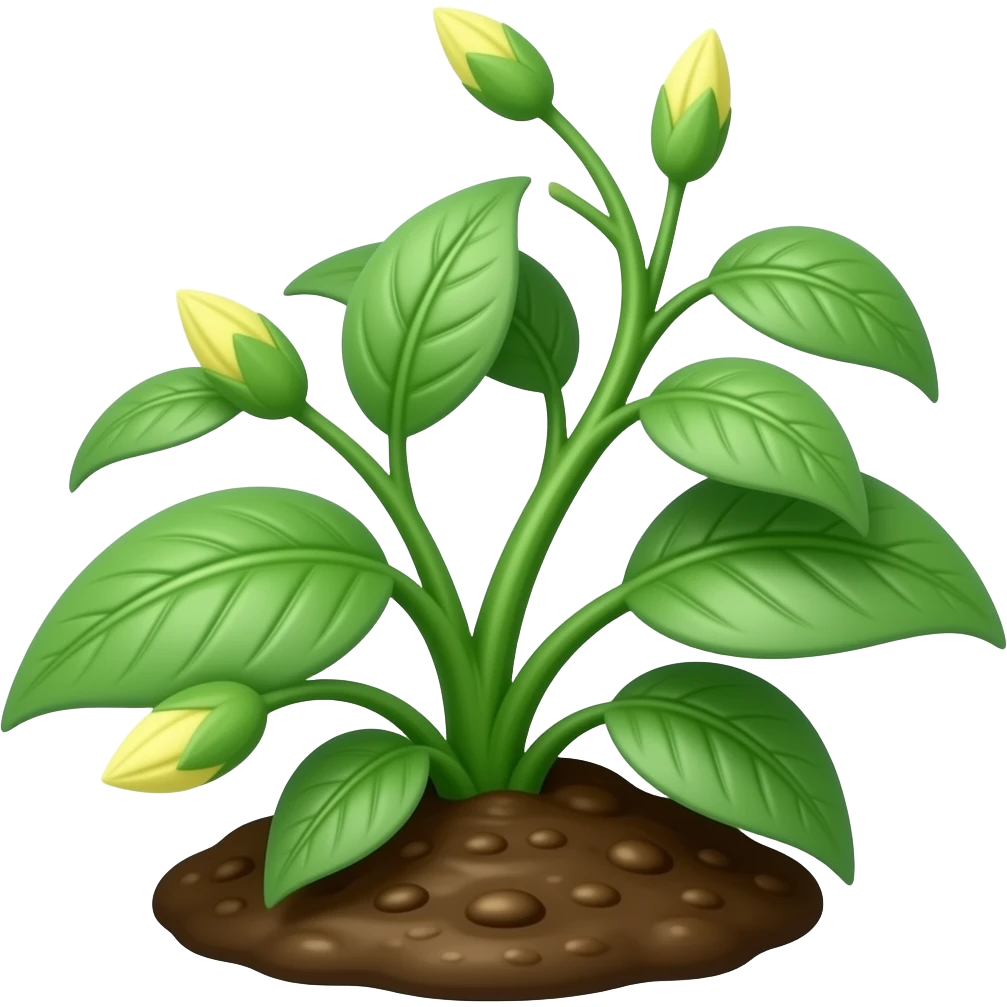 green plant from the ground with leafs And flowers budding emoji